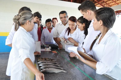 Engenharia de Pesca: pesquisa estuda produção da Feira do Pescado